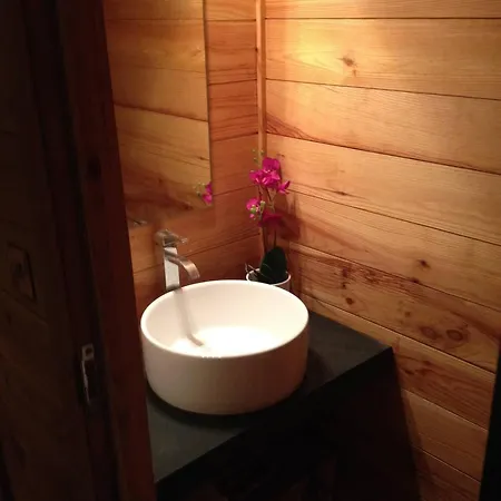 Boutique Alpine With Panoramic Views Chalet Thollon-les-Memises
