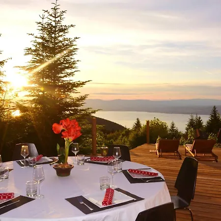 Boutique Alpine With Panoramic Views * Thollon-les-Memises