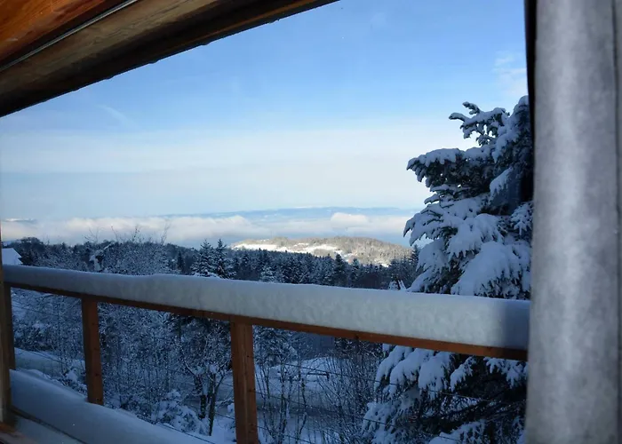 Boutique Alpine With Panoramic Views Thollon-les-Memises